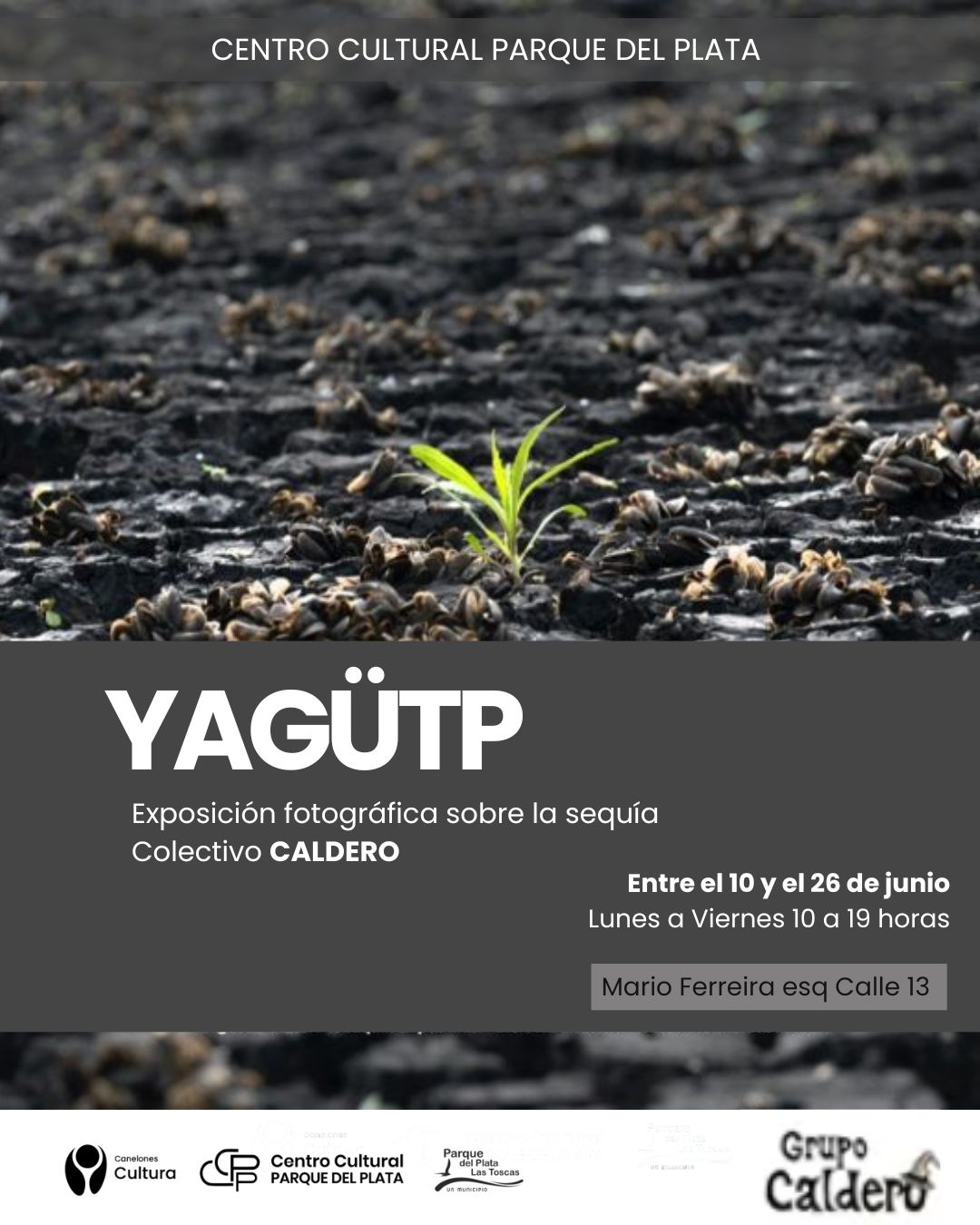 Exposición Fotográfica 