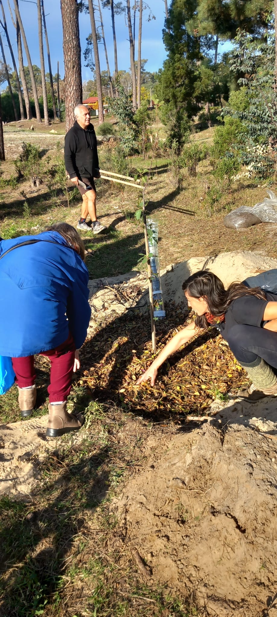 Sumate a crear un bosque barrial