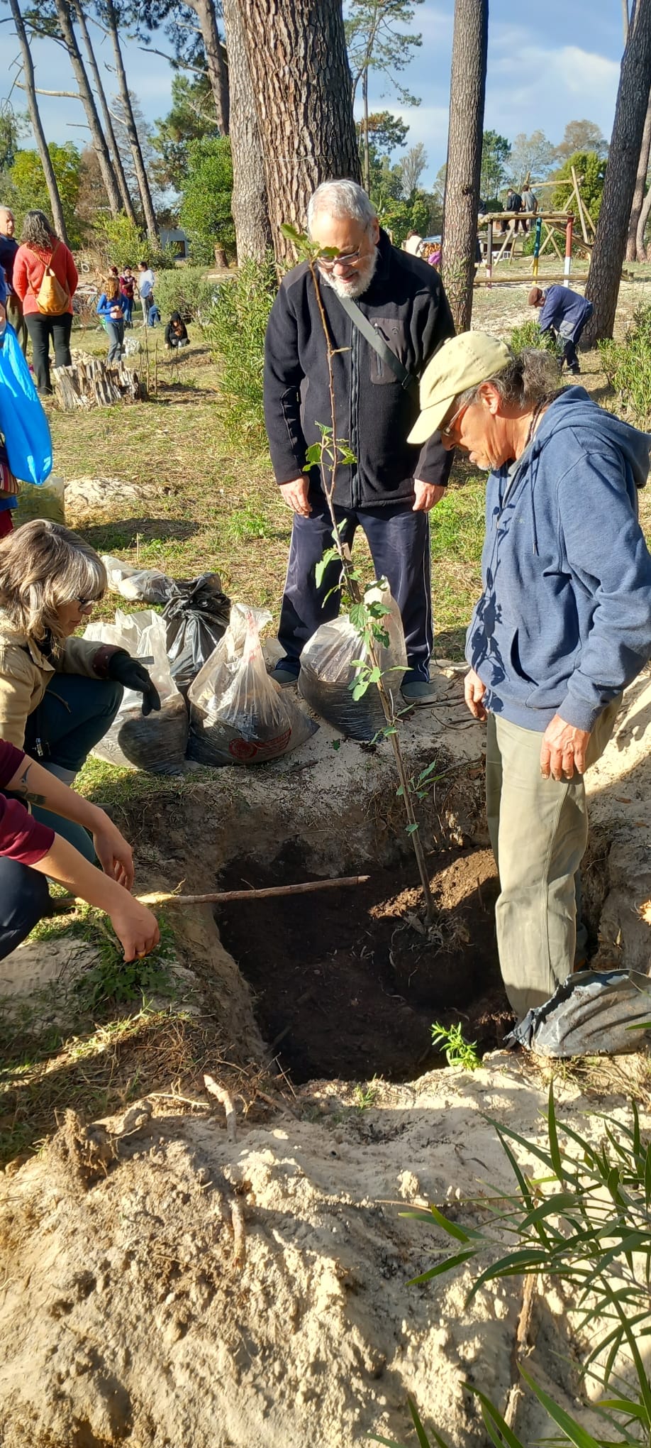 Sumate a crear un bosque barrial