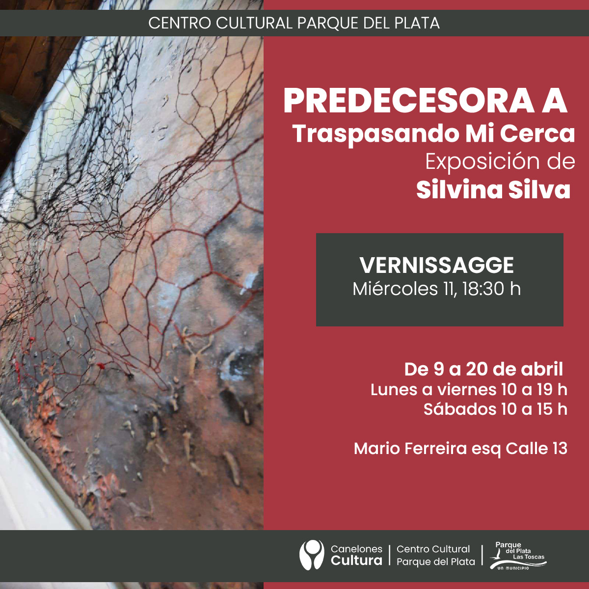 Exposición de Silvina Silva