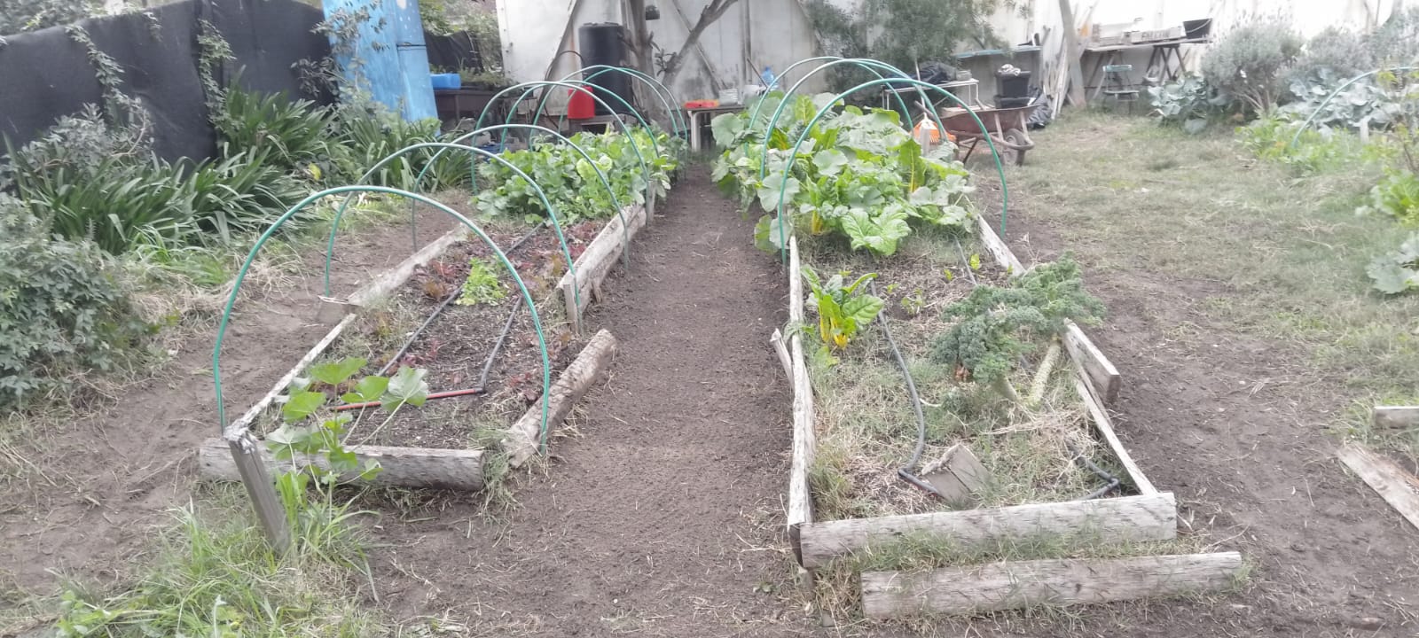 Acondicionamiento de huertas.