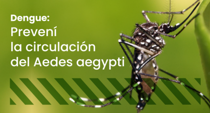 Recomendaciones para evitar la propagación del Dengue