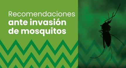 Recomendaciones: Invasión de mosquitos